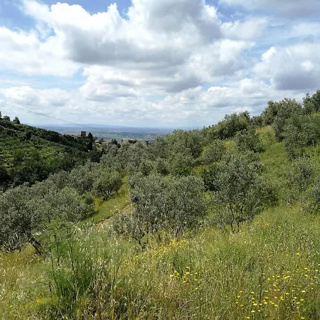 Il Tesoro * Lamporecchio