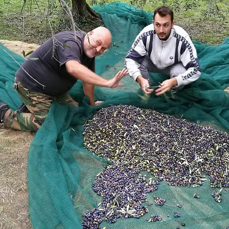 شقة Il Tesoro *